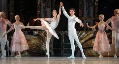 Comment appelle-t-on un enchaînement de mouvements lents ?