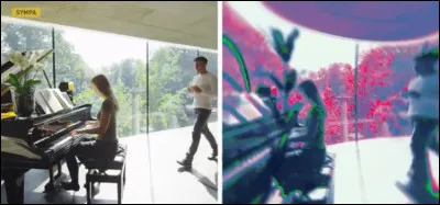 Certaines couleurs ne sont pas distinguées par cette animal. Il s'agit...