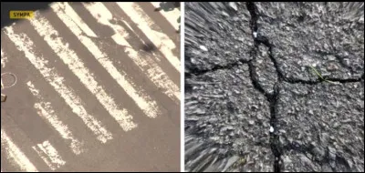 Celui-ci en a une encore plus précise. À quel oiseau cette vision appartient-elle ?