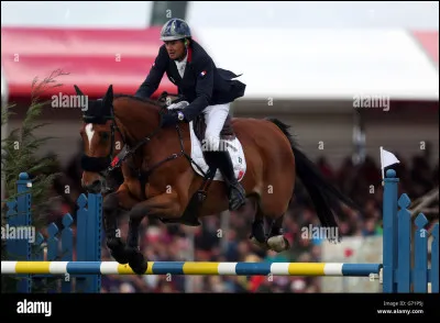 Sur cette image le cheval est en position...