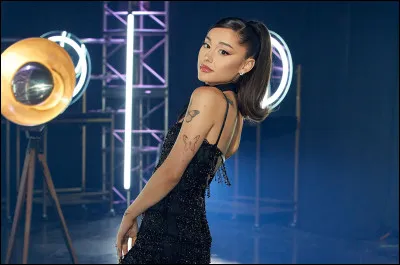 Combien de dollars a-t-elle amassés avec son solo de 2007 ?