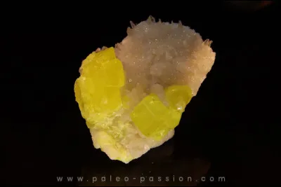 Quel élément chimique a pour symbole S ?