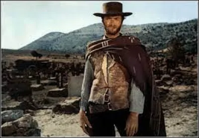 Cinéma : Comment appelle-t-on un plan au cinéma dans lequel le personnage est cadré à mi-cuisses ?