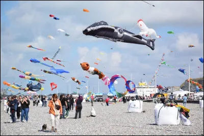 Sports et Loisirs : Dans quelle ville française a lieu le festival du cerf-volant ?