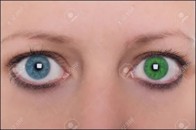De quelle couleur sont tes yeux ?