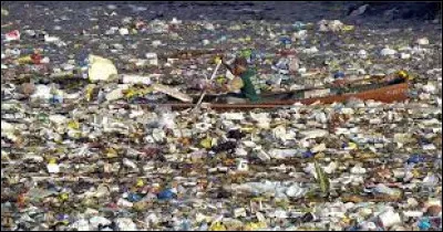 Sciences et Nature : Dans quel océan se trouve ce qu'on appelle le 7e continent qui s'est formé à partir de milliers de détritus ?