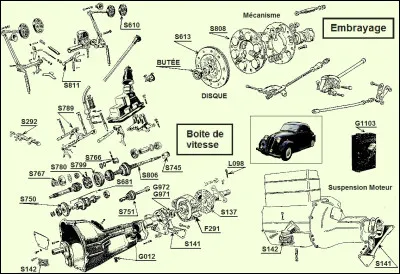 Quel est l'oiseau le plus rapide du monde ?