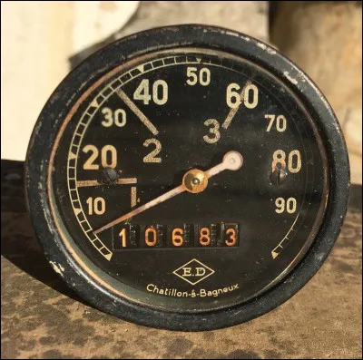 L'oiseau est-il l'animal qui atteint la pointe de vitesse la plus rapide du monde ?