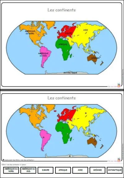 Quel continent possède le plus d'espèces d'oiseaux ?