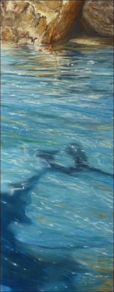 Lequel de ces oiseaux n'est pas un oiseau d'eau ?