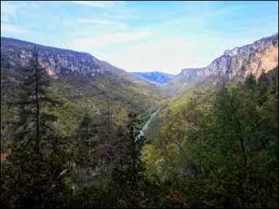Cette rivière, longue de 38 km, prend sa source dans le massif du mont Aigoual à l'altitude de 1 440 mètres ; sa vallée sépare le causse Méjean et le causse Noir ; elle se jette dans le Tarn :