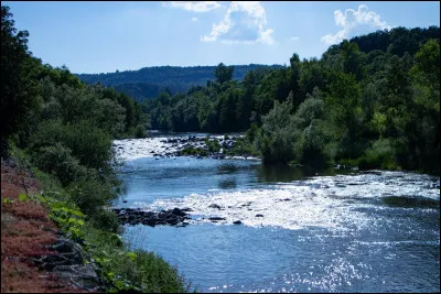 Longue de 1006 km, elle prend sa source à 1408 m sur le versant sud du mont Gerbier-de-Jonc, puis coule vers le nord et arrose la plaine du Forez :