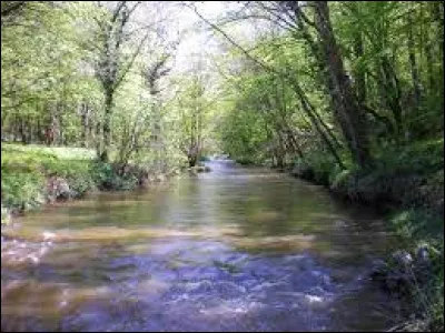 Cette rivière, longue de 372 km, prend sa source à 860 mètres d'altitude sur le plateau de Millevaches, à partir de quatre à cinq petits ruisseaux, au pied du mont Audouze, coule d'abord vers l'ouest, arrose Limoges puis coule vers le nord et rejoint la Loire :