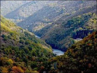Cette rivière, longue de 167 km, prend sa source à 1 460 mètres d'altitude dans le massif de la Margeride, coule d'abord vers le nord puis vers le sud-ouest et rejoint la Lot à Entraygues :