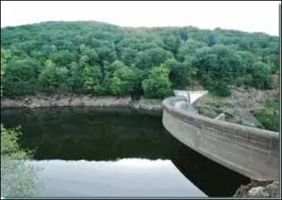 Cette rivière, longue de 92 km, prend sa source vers 1 430 mètres daltitude, dans le Massif du plomb du Cantal, coule vers l'ouest et se jette dans la Dordogne à Argentat :