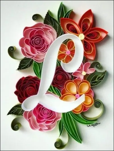 Loriquet arc-en-ciel : Quel est ce animal ?