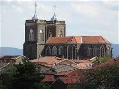 Ancienne commune Rhodanienne, Saint-Didier-sous-Riverie se situe en région ...