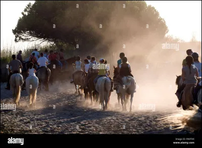 En promenade, quelle est la principale règle de sécurité lorsque l'on est en groupe ?