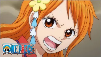 Lors de quelle bataille Nami vole-t-elle le bateau pour aller retrouver Arlong ?