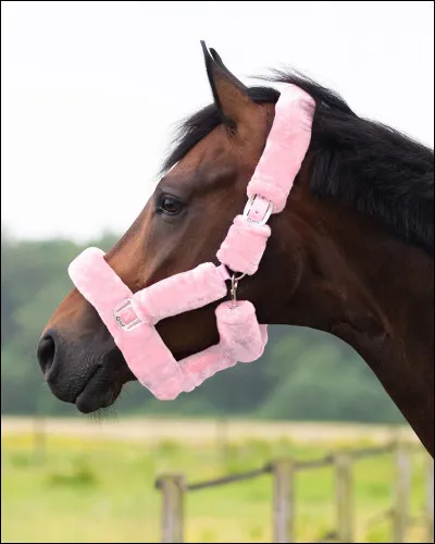 Quel est lobjet ci-dessus ?