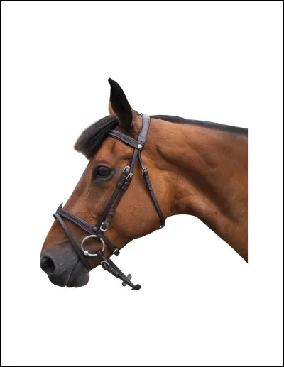 Quel est lobjet ci-dessus ?