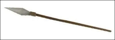 Quelle est cette arme blanche en L, apparue dès le paléolithique, dotée d'une longue hampe et terminée par un fer pointu ?