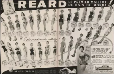 Tout cela est fort gentil, me direz vous, mais quel est le rapport avec le sus-nommé atoll de Bikini ?