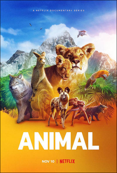 Quel est ton animal favori ?