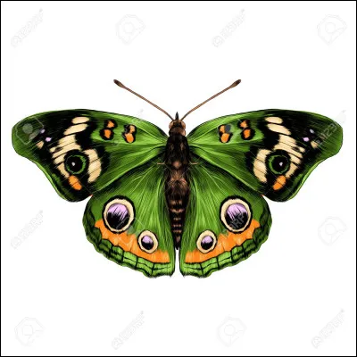 De quelle couleur ses yeux sont-ils ?