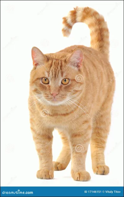 De qui était-elle amoureuse ?