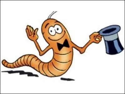 Et le ver de terre ?