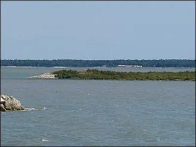 Où se trouve l'île de Nôle ?