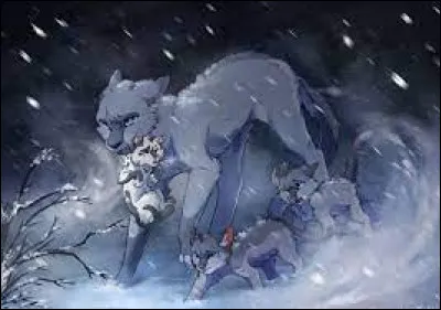 Comment s’appellent ses chatons ?