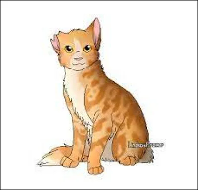 Qui sont ses mentors ?