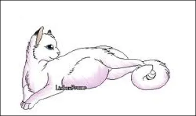 Comment est morte sa sœur ?