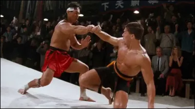 Comment s'appelle le film d'où est issue cette image ?