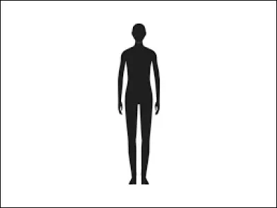 Corps : Qui l'a chanté ?