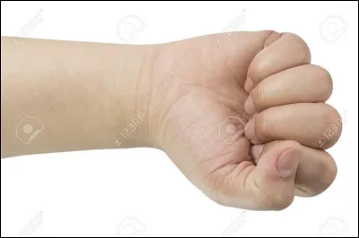 C'est une partie du corps qui nous sert pour beaucoup de choses et elle s'écrit :