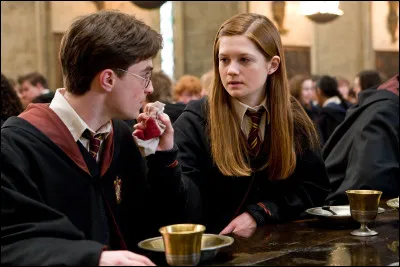 Il se marie avec Ginny Weasley, avec qui il a trois enfants : James, Albus et Lily Potter.