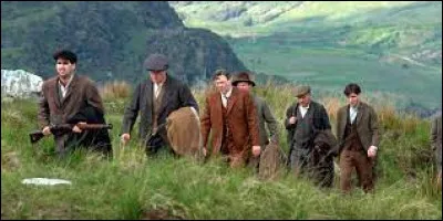 Qui a réalisé le film britannique "Le vent se lève" sorti en 2006 ?