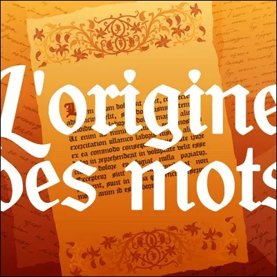 Comment appelle-t-on la science qui a pour objet la recherche de lorigine des mots ?