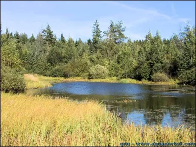 Est-ce qu'on peut la trouver dans la nature ?