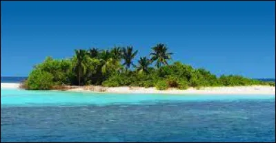 Qui a chanté "Si c'est une île" en 2007 ?