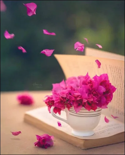 Quelle est cette écrivaine, qui s'en est allée également un 3 août, à qui l'on doit la série des "Claudine" ?