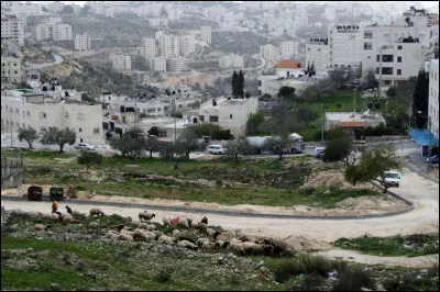 Où sont installés les principaux ministères en Palestine ?