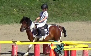 Quiz Galop 2