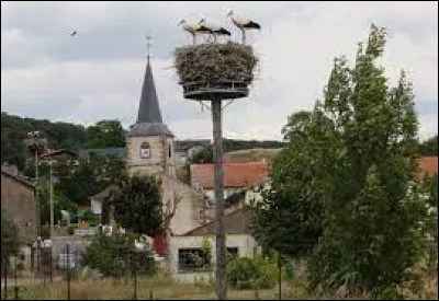 Si vous voulez voir des cigognes, direction Harprich. Village lorrain, dans l'arrondissement de Forbach-Boulay-Moselle, il se situe dans le département ...