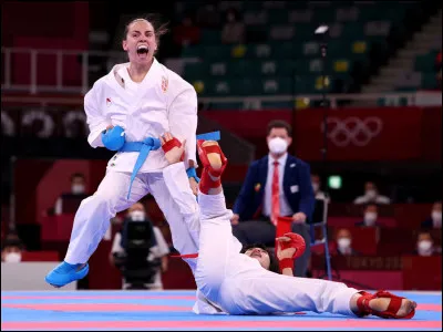 Quand on débute un art martial, il y a souvent des ceintures pour déterminer votre niveau technique. La ceinture d'un débutant est pour la plupart du temps :