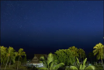Quel oiseau fut décimé après l'arrivée des Hollandais sur l'île Maurice ?