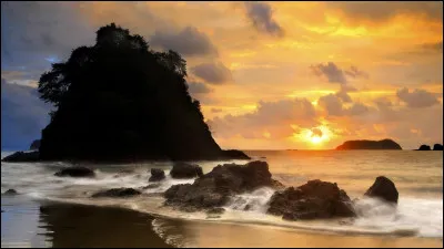 Quel acteur est à l'affiche du film "Shutter Island" ?